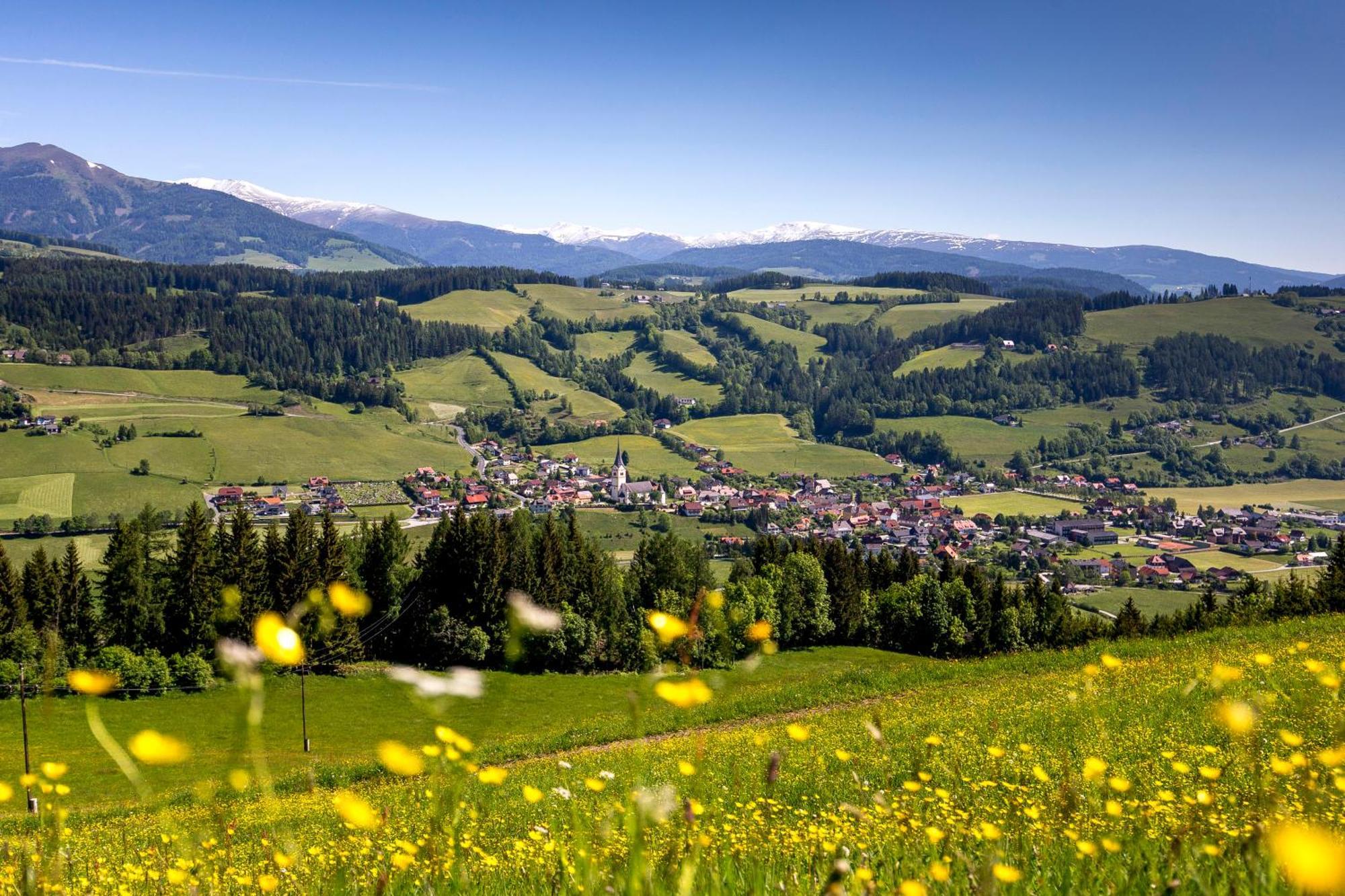 Naturpark Chalets Lambrecht By Alps Resorts Sankt Lambrecht Dış mekan fotoğraf